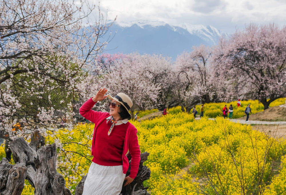 镜观·回响|擦亮兴边富民的“桃花村”品牌