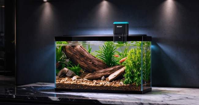 关注水族安全 BESSN（贝森）智能补水器筑牢居家防护线