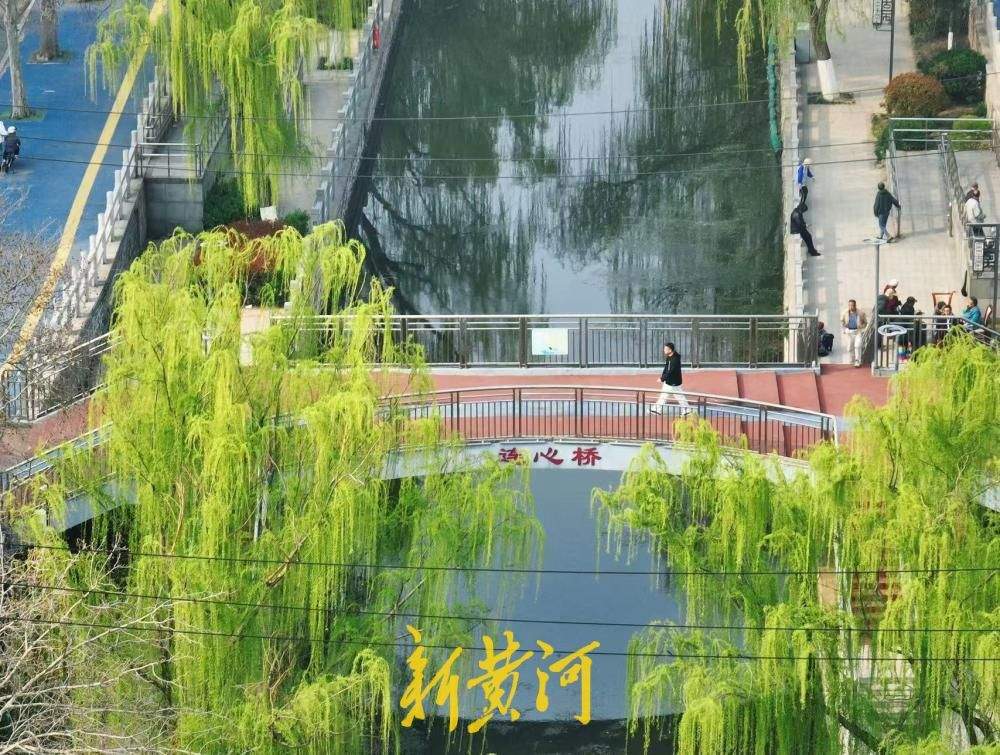 垂柳依依 济南工商河畔春色如画