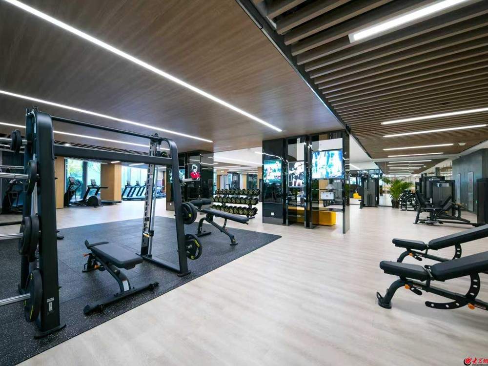 国风花灯、超值钜惠、国球训练营、网红场景……青岛嘉年华滨海旅游休闲街区推出“一站式”新春文旅盛宴