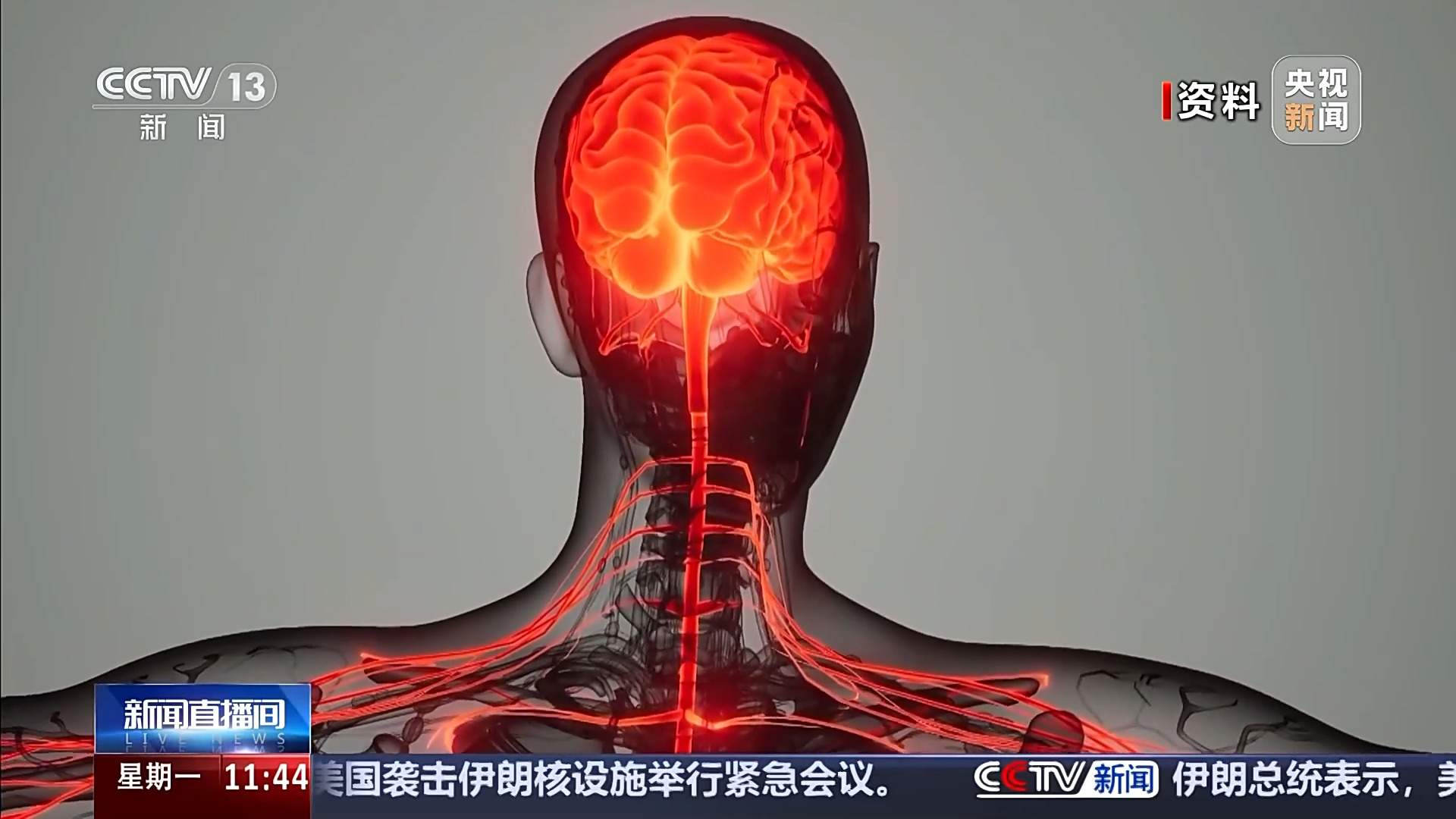 如何快速识别“上头电子烟”？禁毒民警：望、闻、问、切