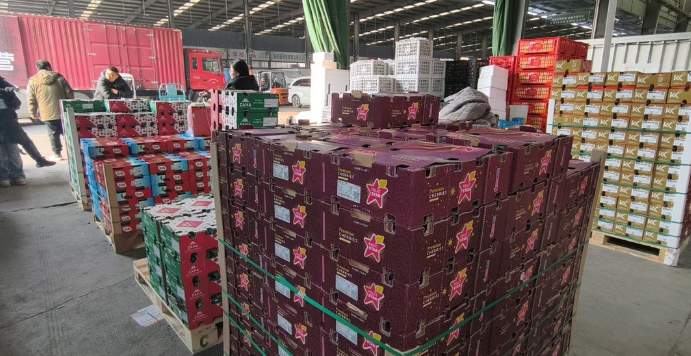 冬日水果“顶流”车厘子降价，济南果商：还有降价空间