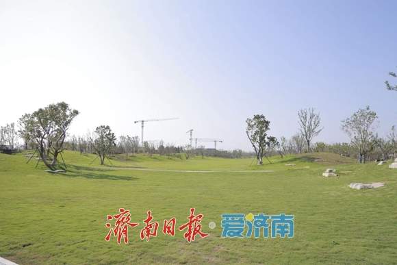 趵眼｜起势再加速！市委常委会会议开到济南起步区