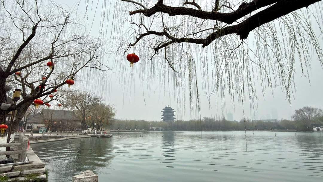 清风柳绿，春到大明湖