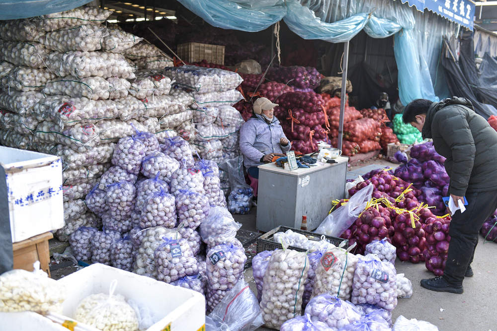 腊八节临近大蒜需求升温，价格与往年同期持平