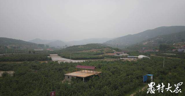 山东果品出口，持续“热辣滚烫”