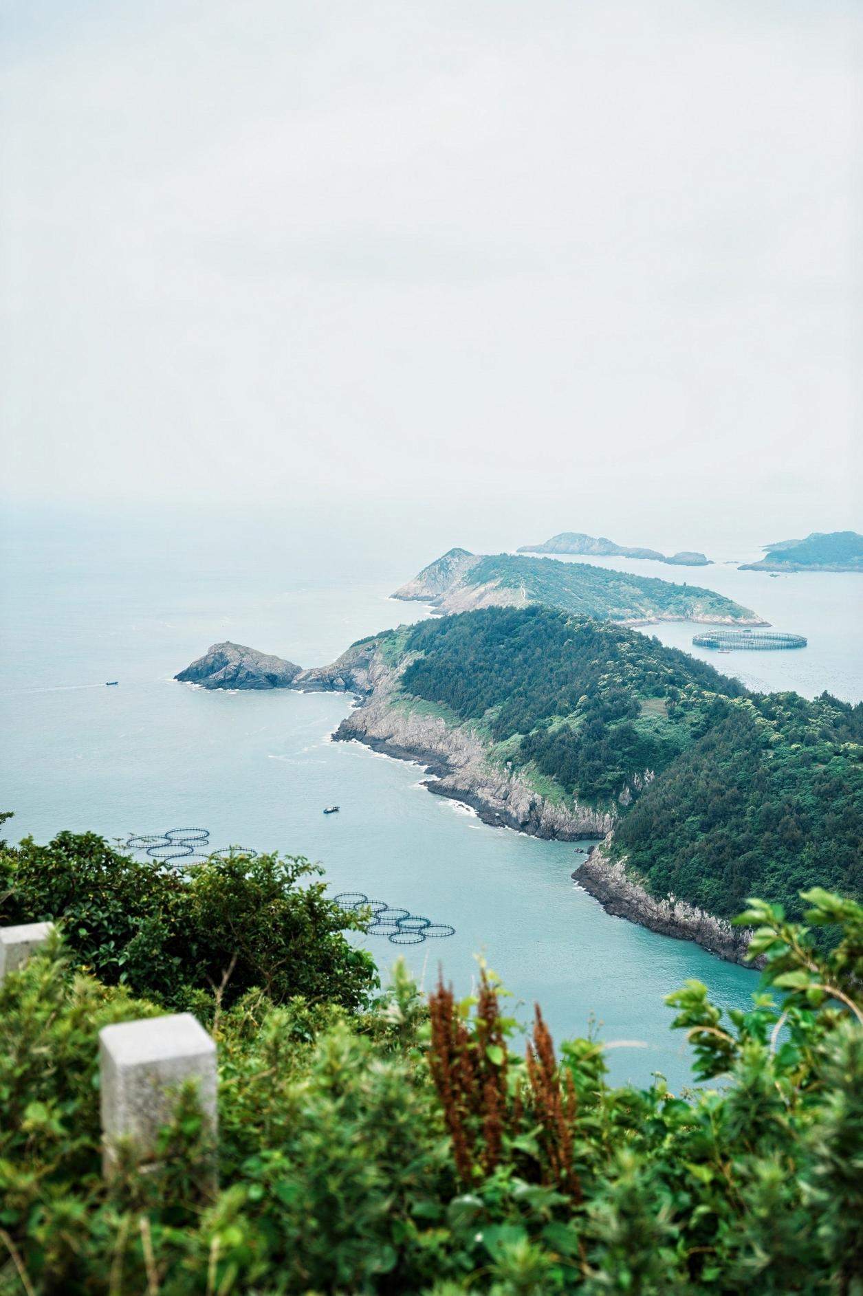 美丽中国·青绿手记｜从荒岛到绿岛，大陈岛变美了！