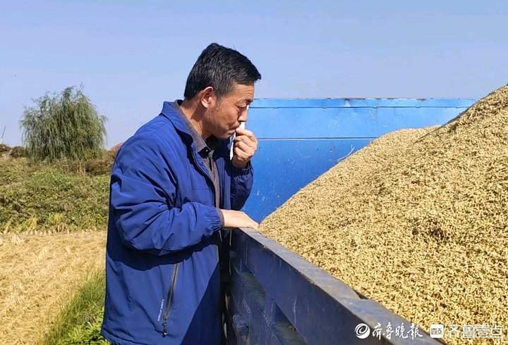 产米200万斤！济南黄河大米迎来丰收季，当天收割当天端上桌