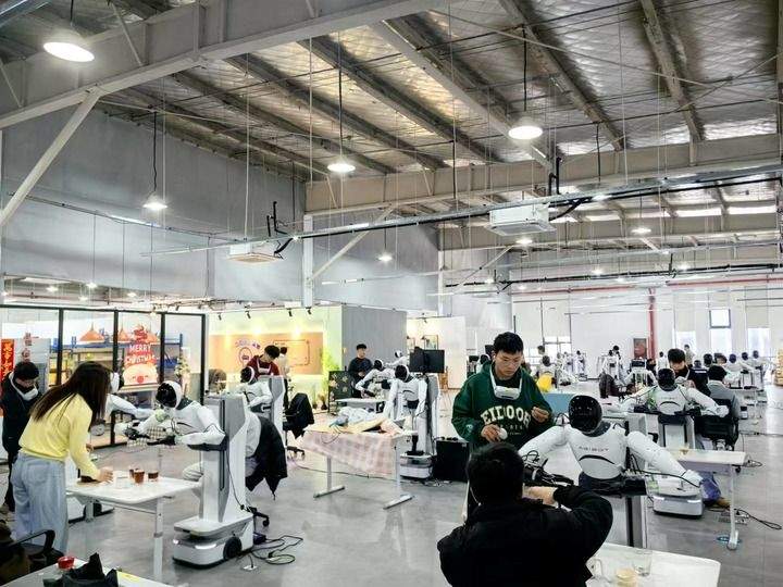 人形机器人加速进化