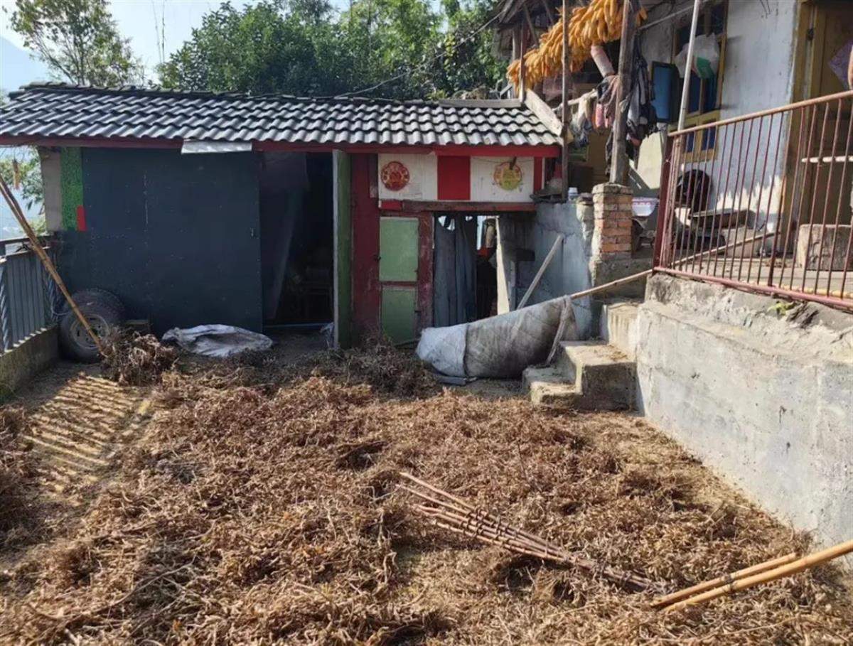 四川遭黑熊袭击的夫妻均无生命危险：保险公司会赔付，打死的黑熊将用于科研