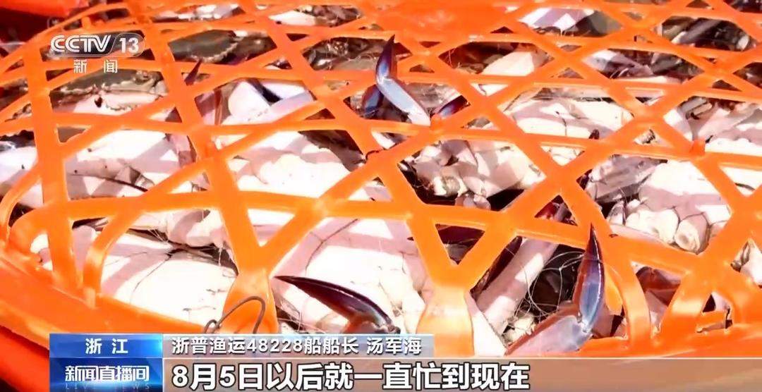 开渔期赶海忙!山东各大鲜活海产“游”进市场