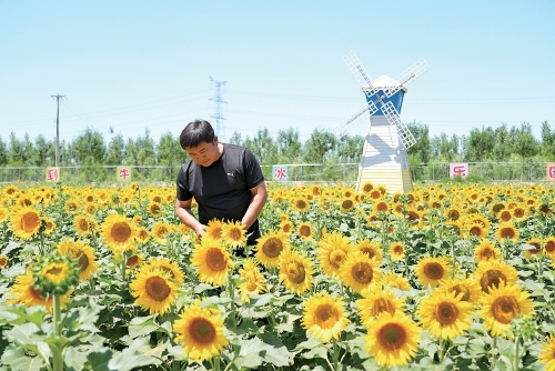 从贫困村蝶变为全国文明村 曲堤街道新农人带领乡亲吃上“旅游饭”