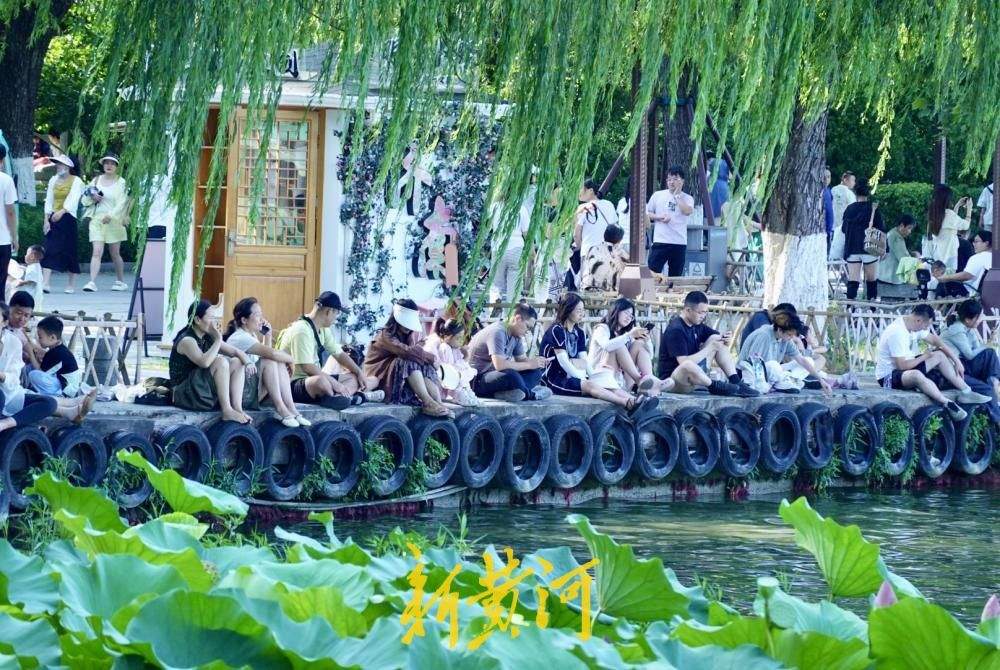 凉风习习，市民游客围坐湖堤享惬意“吹风时光”
