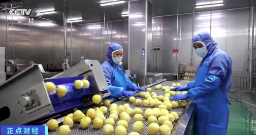 从“论斤卖”到“论克卖”，安岳柠檬，身价倍增！
