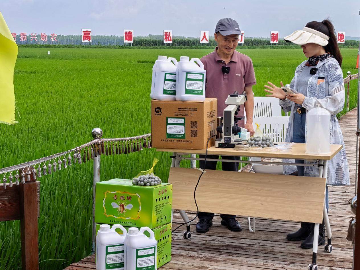 聚力数智赋能 焕新电商未来｜县域新电商激活乡村振兴新动能