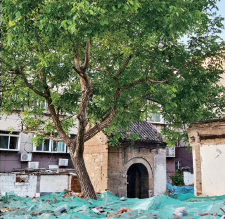 持续地在济南散步