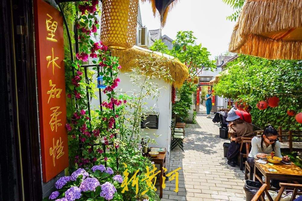 “家家泉水”触手可及，济南这处名泉老院开门迎客