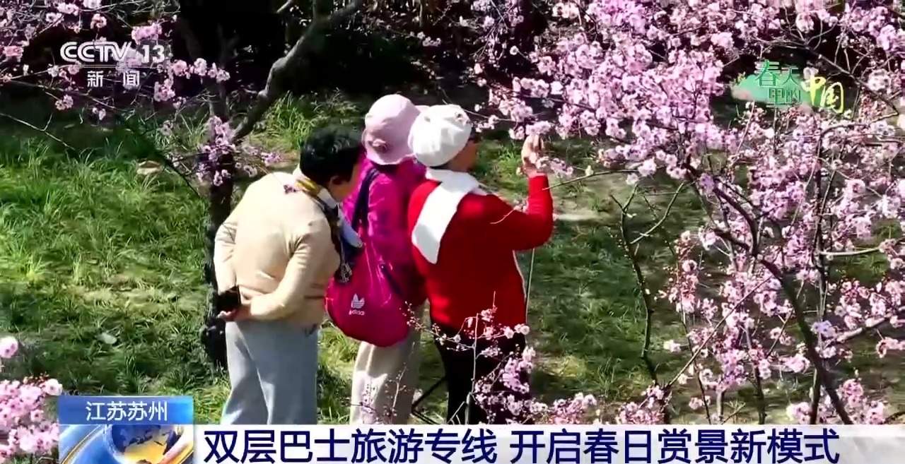 各地春日赏花有哪些好去处？请看这份赏花攻略