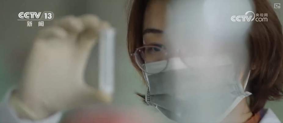 怎么吃透招生章程？职业本科与普通本科有什么区别？解读