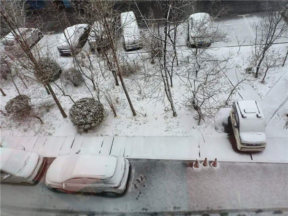 下雪了!济南“大雪花”刷屏