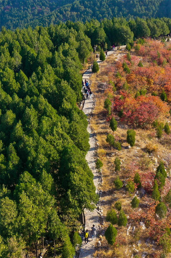 济南著名的“半青山”游客穿梭，山体半红半绿犹如“鸳鸯火锅”