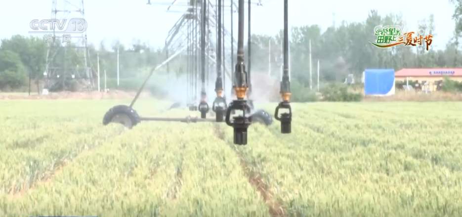 “科学防控+精准服务”各地积极应对旱情 保障高温天气农业生产