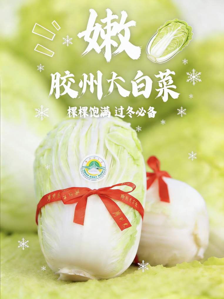 谁说冬天是淡季？看“鲁大壮”的冬日丰收图鉴！