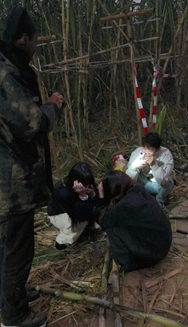 四川眉山“偷甘蔗”现场：民警到场维持秩序，老板称以前想当网红，现在累得笑不出来