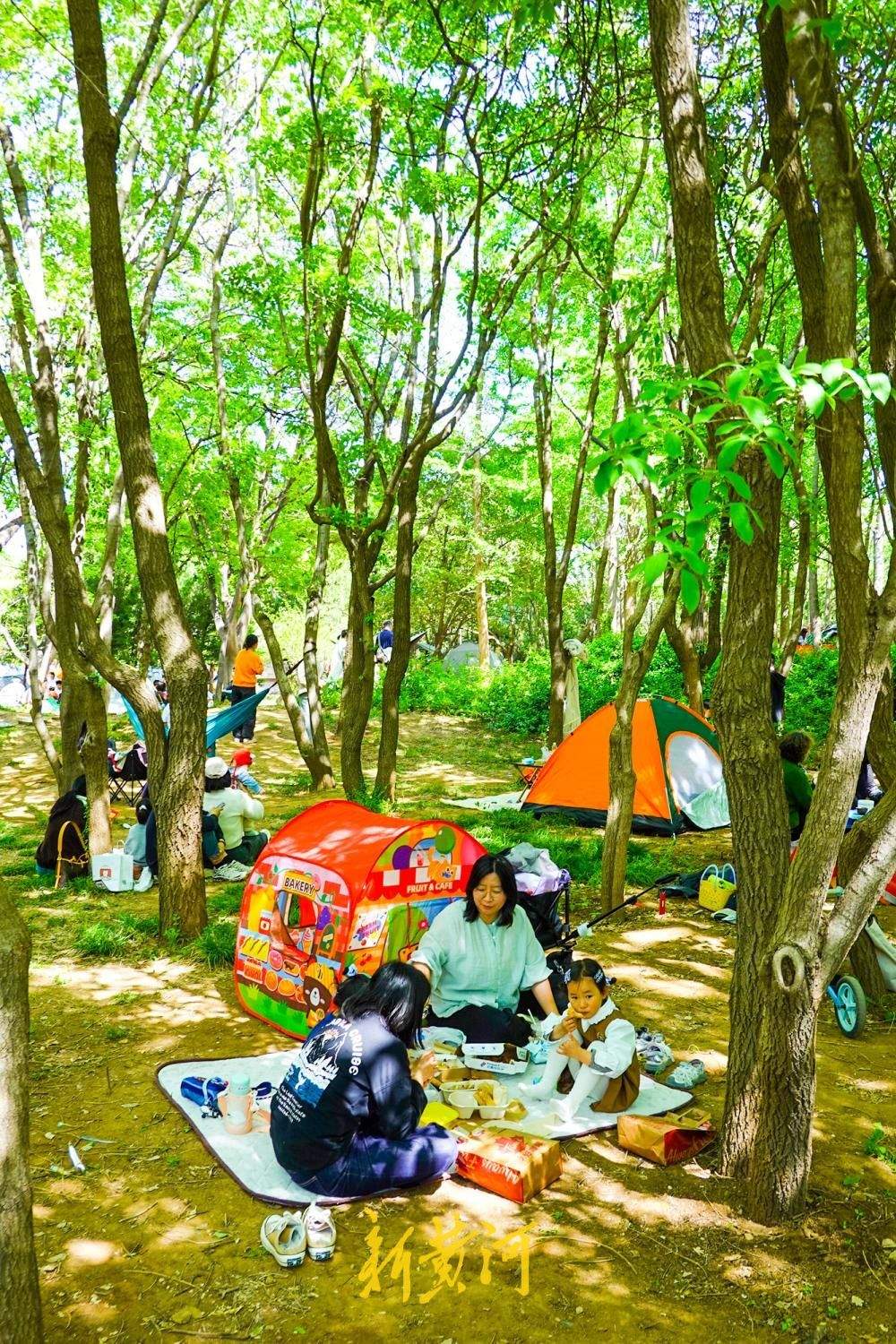 仲春公园迎来济南露营热 草地变身“户外客厅”