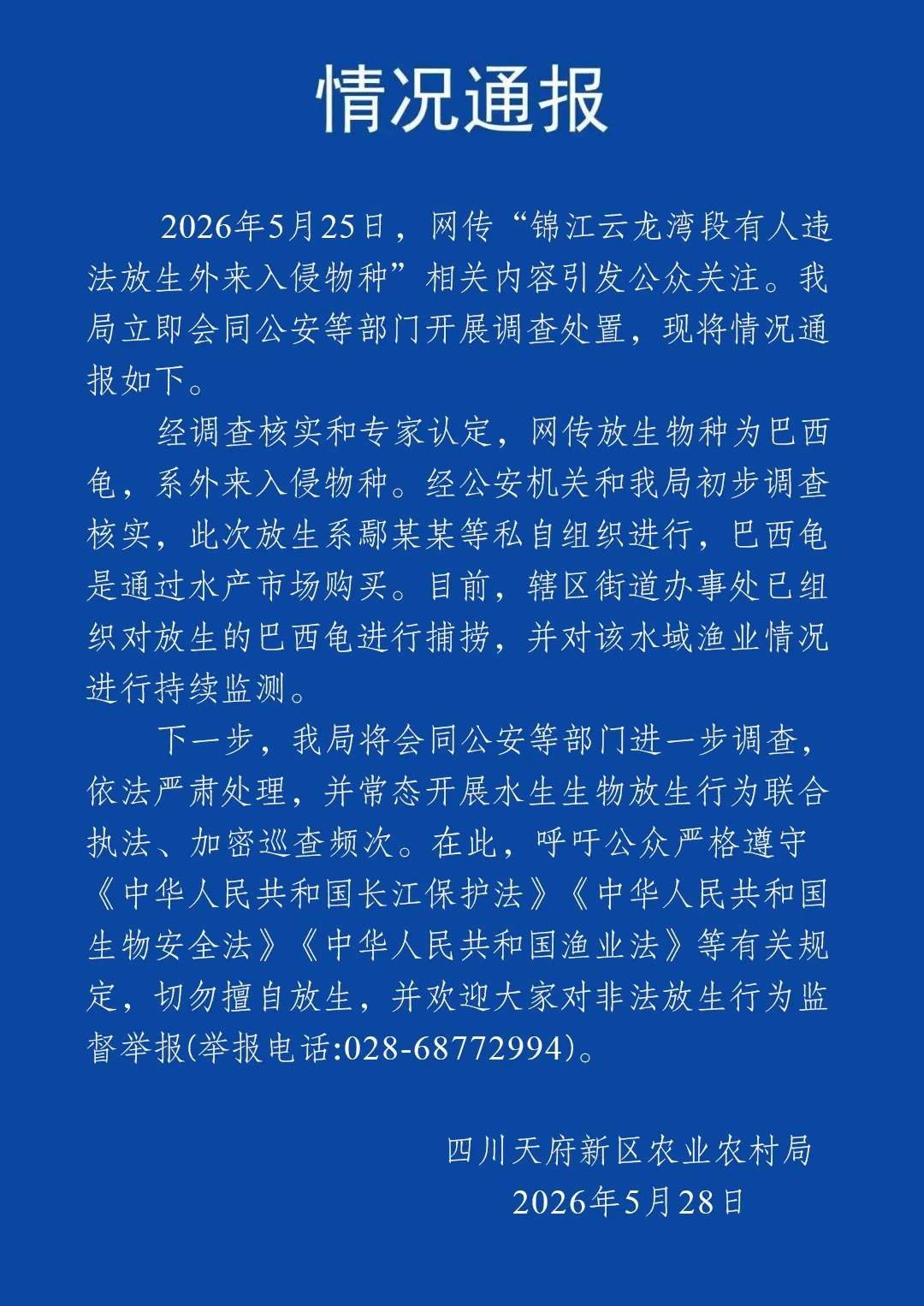 官方通报“成都锦江有人放生入侵物种巴西龟”