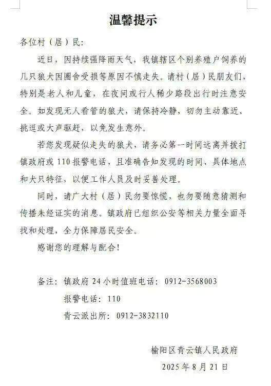 陕西村民路边发现“狼”嚎叫?当地:是狼犬