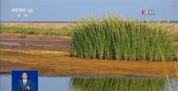 @铲屎官们 养“异宠”或危害国家安全 这些行为违法了