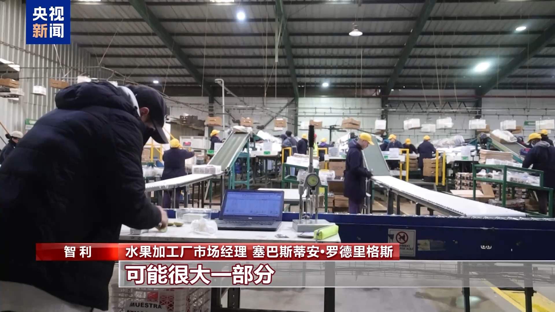 总台记者探访丨应季的水果棘手的关税 智利水果产业“愁”