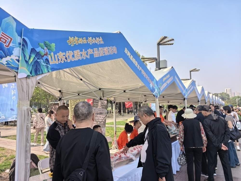 首届“好鲤山东”锦鲤大赛决赛在济举行,来自德州的家养锦鲤斩获全场总合冠军
