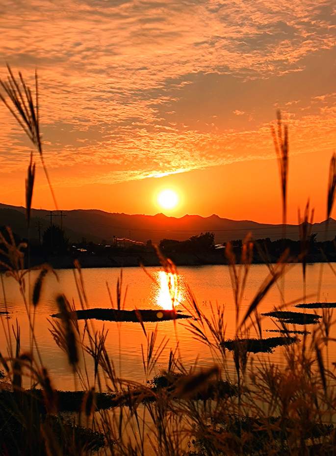 悠然南山秋意浓