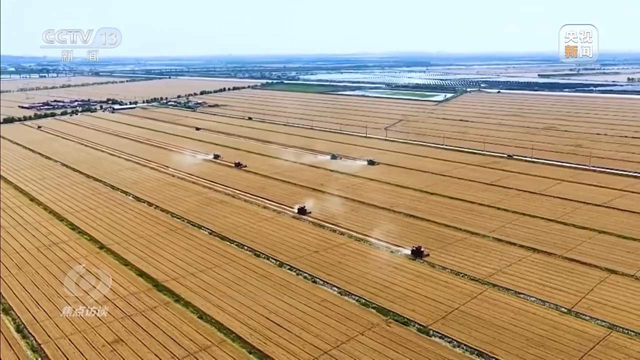 从抗旱到抢收 解读粮食增产背后的“密码”