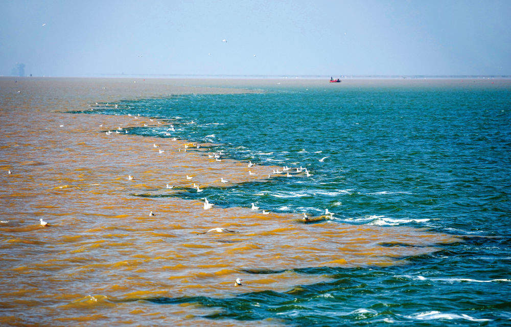 顺流而下的生态守护 逆流而上的协作帮扶——黄河首尾，情系一脉