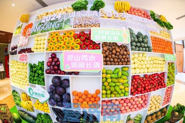 济清江楠国际水果交易中心揭牌将落地济南公益性农批市场
