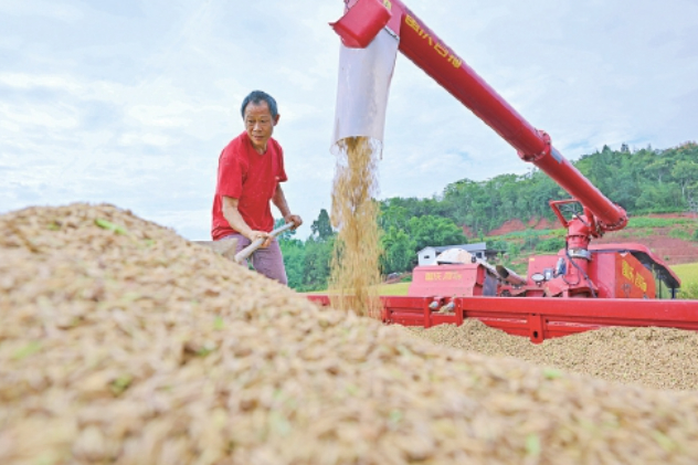 农业保险再加力 努力减轻农民因灾损失