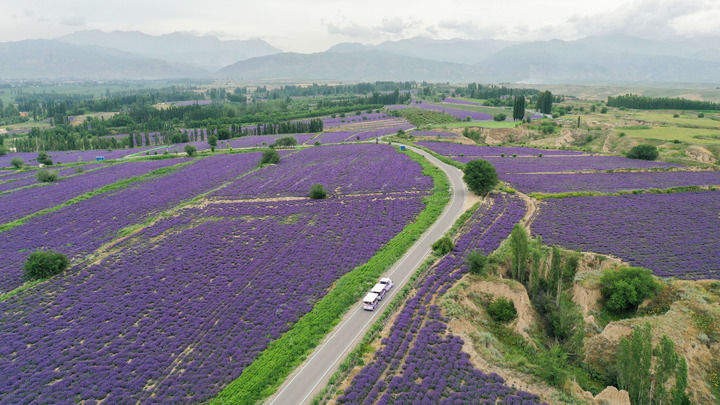 亚欧通衢向未来——沿着高速看新疆立体交通新图景