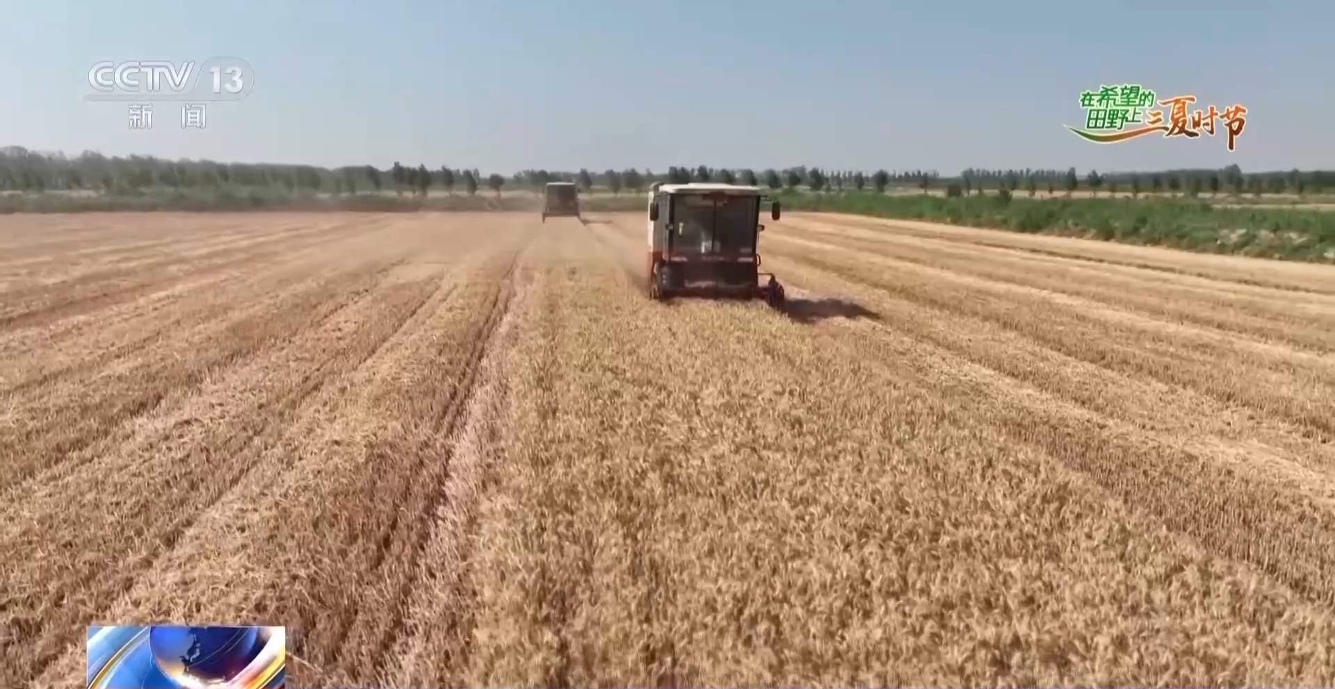 新品种新技术齐上阵 多地一片好“丰”景