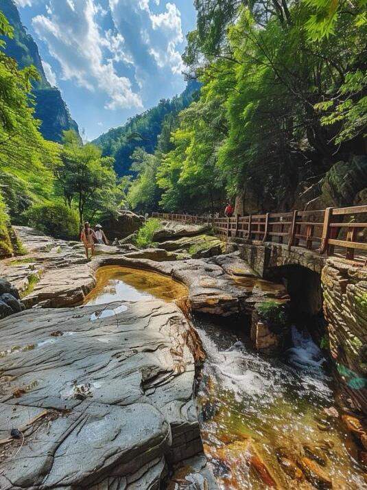 山东“点绿成金”图鉴：林票贷千万、古枣挂“身份证”，生态家底变富民家产