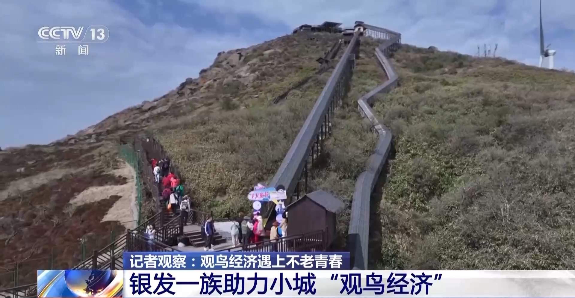 公园长满“打鸟”大爷 银发一族助力小城“观鸟经济”