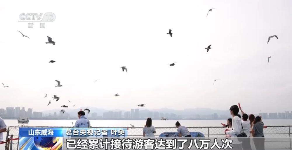 活力中国调研行 