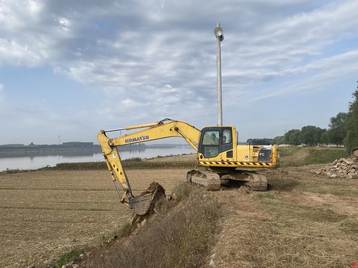 拂堤杨柳带春烟抢时河工赛归燕济南黄河河务局2024年工作全面铺开