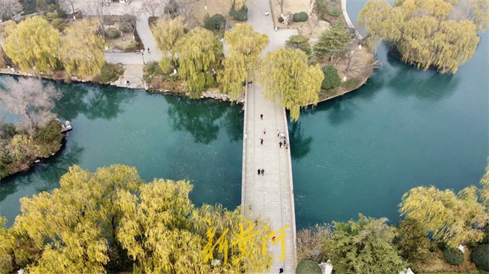 冬日大明湖：雾锁湖光，柳染冬韵