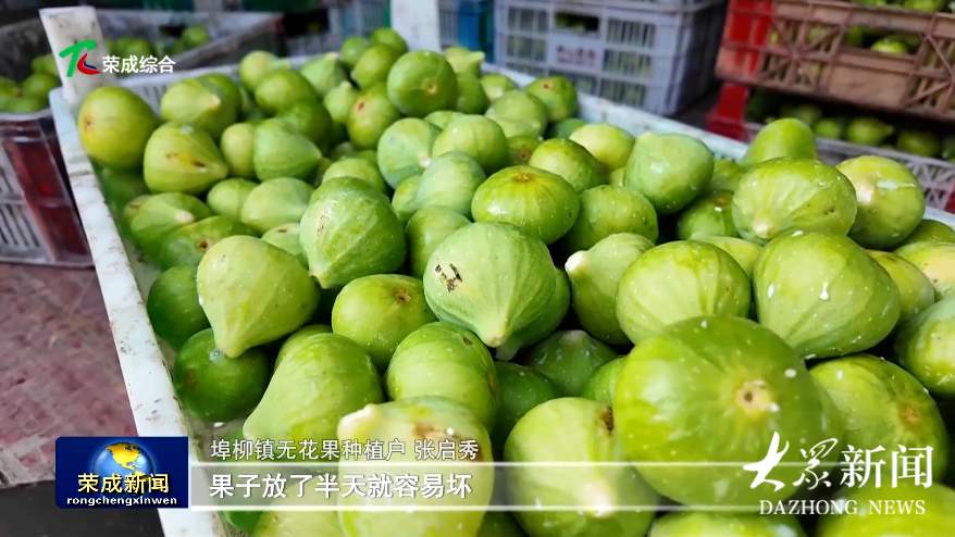 鲜果出山！山东公交专线够“硬核”