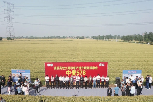 乡村振兴“成绩单”背后的人才故事