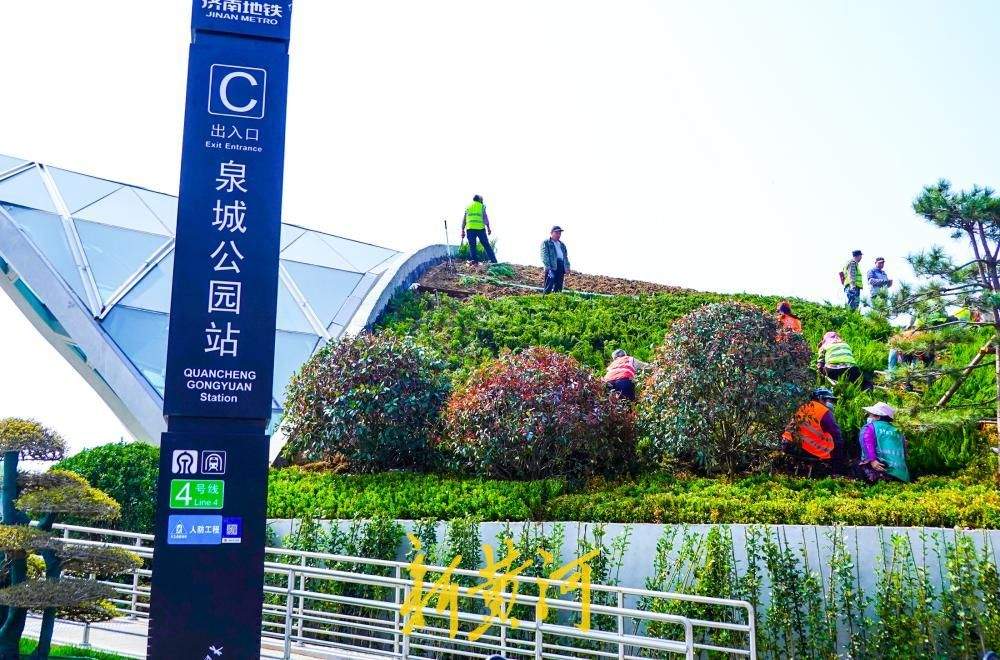 济南地铁4号线泉城公园站出入口绿化更新,打造“会呼吸”的地铁口