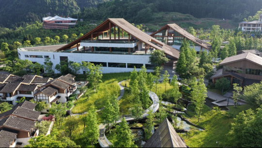 以养兴产 以产促旅 江津四面山跑出康养融合加速度